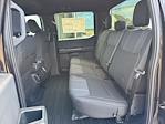 New 2025 Ford F-150 STX SuperCrew Cab 4WD Pickup for sale #F3322 - photo 44