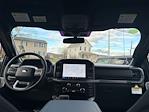 New 2025 Ford F-150 XLT SuperCrew Cab 4WD Pickup for sale #F3331 - photo 42