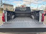 New 2025 Ford F-150 XLT SuperCrew Cab 4WD Pickup for sale #F3331 - photo 45