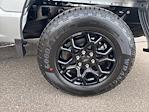 New 2025 Ford F-150 STX SuperCrew Cab for sale #F3345 - photo 12
