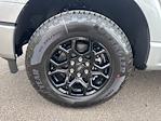 New 2025 Ford F-150 STX SuperCrew Cab for sale #F3345 - photo 9