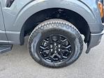 2025 Ford F-150 SuperCrew Cab 4WD Pickup for sale #F3352 - photo 14