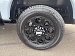 New 2026 Ford F-250 Lariat Crew Cab for sale #F3378 - photo 12
