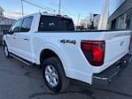 New 2025 Ford F-150 XLT SuperCrew Cab for sale #F3381 - photo 2