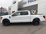 New 2025 Ford F-150 XLT SuperCrew Cab for sale #F3447 - photo 9