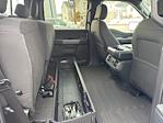 New 2026 Ford F-150 XLT SuperCrew Cab for sale #F3499 - photo 39