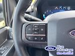 2024 Ford F-150 SuperCrew Cab 4x4 Pickup for sale #FP2515 - photo 24