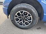 2023 Ford F-150 SuperCrew Cab 4x4 Pickup for sale #FP2557 - photo 10