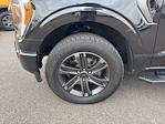 2022 Ford F-150 SuperCrew Cab 4WD Pickup for sale #FP2646 - photo 12