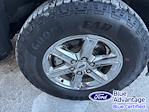 2025 Ford F-150 SuperCrew Cab 4WD Pickup for sale #FP2692 - photo 14