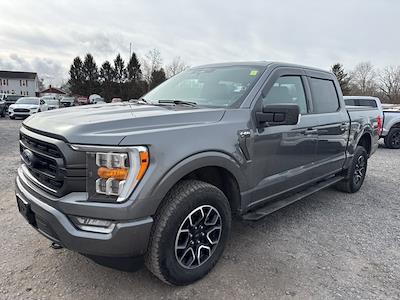 Used 2023 Ford F-150 - photo 1