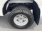 2023 Ford F-350 Crew Cab DRW 4x4 Pickup for sale #PED20014 - photo 10