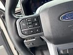 2023 Ford F-350 Crew Cab DRW 4x4 Pickup for sale #PED20014 - photo 28