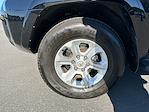 Used 2024 Toyota 4Runner SR5 Premium 4WD SUV for sale #210226 - photo 12