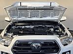 2019 Toyota Tacoma Double Cab 4x4 Pickup for sale #708383 - photo 21