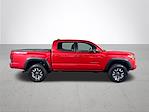 2019 Toyota Tacoma Double Cab 4x4 Pickup for sale #836351 - photo 6