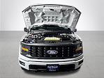2024 Ford F-150 SuperCrew Cab 4WD Pickup for sale #836488 - photo 22