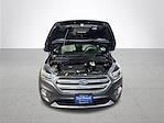 Used 2017 Ford Escape SE for sale #837095 - photo 21