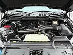 2024 Ford F-150 Super Cab 4WD Pickup for sale #907598 - photo 26