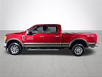 2017 Ford F-250 Crew Cab 4x4 Pickup for sale #C836142 - photo 9