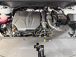 2023 Kia Sorento AWD SUV for sale #CM22002 - photo 7