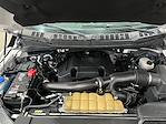 2020 Ford F-150 SuperCrew Cab 4WD Pickup for sale #CM22154 - photo 7