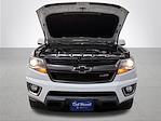2016 Chevrolet Colorado Crew Cab 4WD Pickup for sale #CPM22028 - photo 6