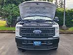New 2024 Ford F-350 XL Regular Cab 4x4 Cab Chassis for sale #F24399 - photo 8