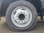 2024 Ford F-550 Crew Cab DRW 4x2 Cab Chassis for sale #F24555 - photo 16