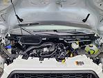 New 2024 Ford Transit 250 Low Roof Empty Cargo Van for sale #F24699 - photo 6