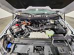 2024 Ford F-150 SuperCrew Cab 4x4 Pickup for sale #PL13476 - photo 5
