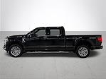 2024 Ford F-150 SuperCrew Cab 4x4 Pickup for sale #PL13504 - photo 16