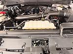 2024 Ford F-150 SuperCrew Cab 4WD Pickup for sale #PL13819 - photo 8