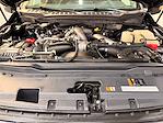 2025 Ford F-250 Crew Cab 4WD Pickup for sale #PL13877 - photo 8