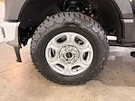 2025 Ford F-250 Crew Cab 4WD Pickup for sale #PL13879 - photo 15
