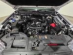 2024 Ford Ranger SuperCrew Cab 4WD Pickup for sale #PL13992 - photo 7