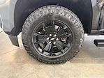 2021 Chevrolet Colorado Crew Cab 4WD Pickup for sale #PM21963 - photo 15