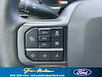 2025 Ford F-150 SuperCrew Cab 4WD Pickup for sale #F39449 - photo 28