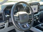 2024 Ford F-150 SuperCrew Cab RWD Pickup for sale #F40077A - photo 7