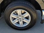 2023 Ford F-150 SuperCrew Cab 4x2 Pickup for sale #PKD60870 - photo 7