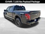 2024 Ford F-150 SuperCrew Cab 4x4 Pickup for sale #1913 - photo 2