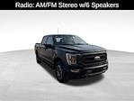 2023 Ford F-150 SuperCrew Cab 4WD Pickup for sale #1943 - photo 9