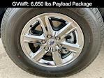 2025 Ford F-150 SuperCrew Cab 4x4 Pickup for sale #21234 - photo 14