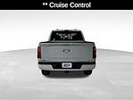 2025 Ford F-150 SuperCrew Cab 4x4 Pickup for sale #21336 - photo 6