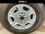 2025 Ford F-350 Regular Cab SRW 4x4 Pickup for sale #21343 - photo 14