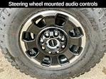 2025 Ford F-350 Crew Cab SRW 4x4 Pickup for sale #21374 - photo 14