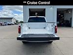 2025 Ford F-150 SuperCrew Cab 4x4 Pickup for sale #21390 - photo 7