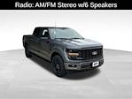 2025 Ford F-150 SuperCrew Cab 4x4 Pickup for sale #21399 - photo 13