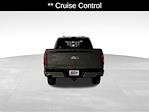 2025 Ford F-150 SuperCrew Cab 4x4 Pickup for sale #21400 - photo 6