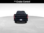 2025 Ford F-350 Crew Cab SRW 4x4 Pickup for sale #21425 - photo 6